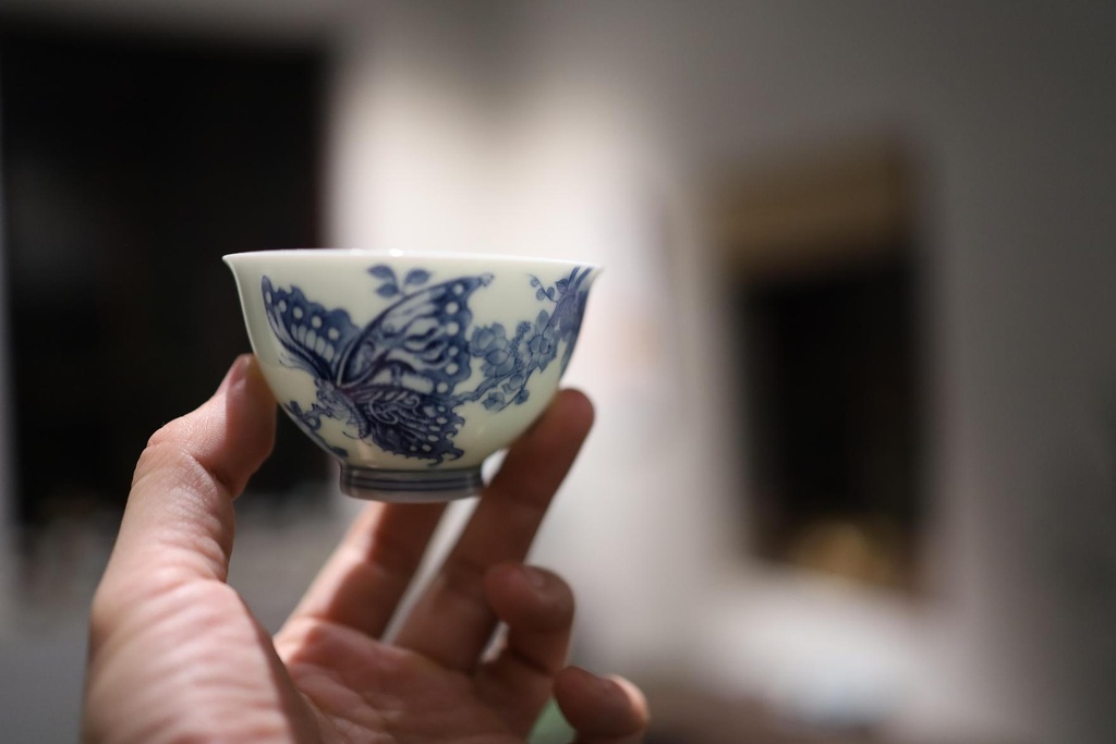 CHÉN THANH HOA VẼ BƯỚM 002