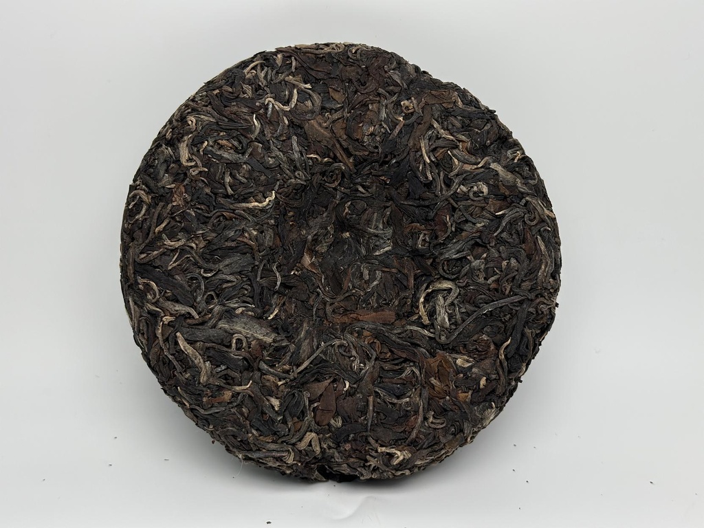 RU SỐNG CỔ THỤ 2019